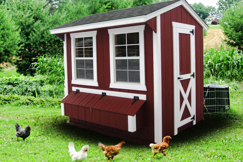 Small Backyard Chicken Coops For Sale In Mt Wy And Id